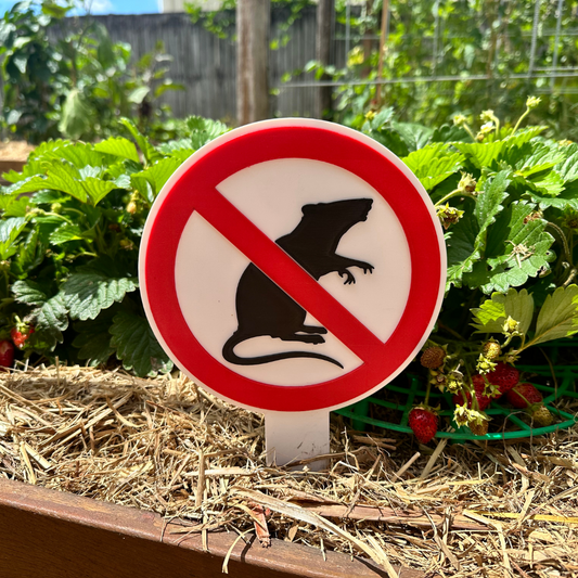 No Entry Sign